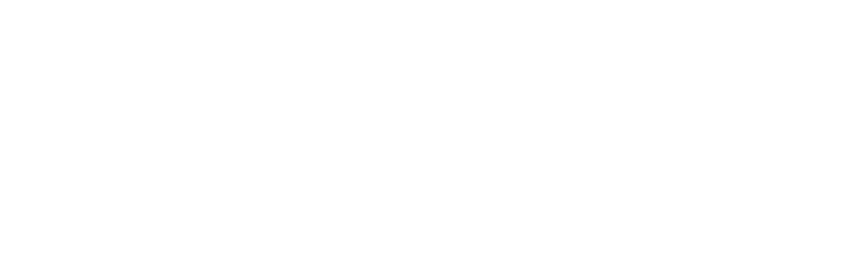 FlightPath One Logo
